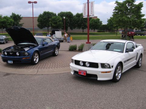 1989 Ford Mustang - Two Ford Mustangs are displayed at an outdoor event, one with its hood open to reveal the engine.