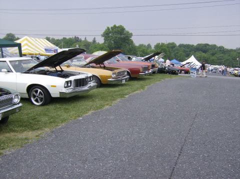 1970 Ford Ranchero - A row of classic cars, including a white 1970 Ford Ranchero, are displayed with their hoods open at an outdoor event.