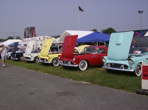 1970 Ford Ranchero - A row of classic Ford Thunderbirds displayed at an outdoor event, hoods raised for viewing.