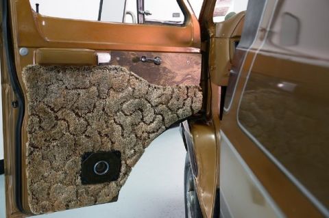 1978 Ford E250 - Interior view of a van's brown door panel with textured carpet and a speaker.