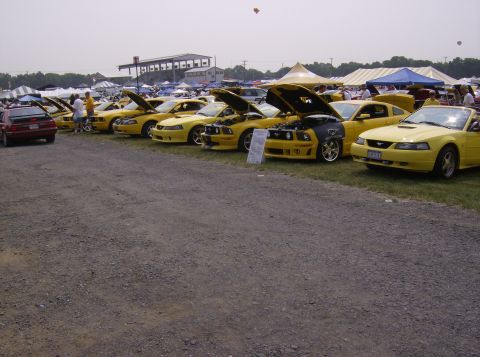 1970 Ford Ranchero - A collection of yellow Ford Mustangs are displayed at an outdoor event, with tents and buildings in the background.