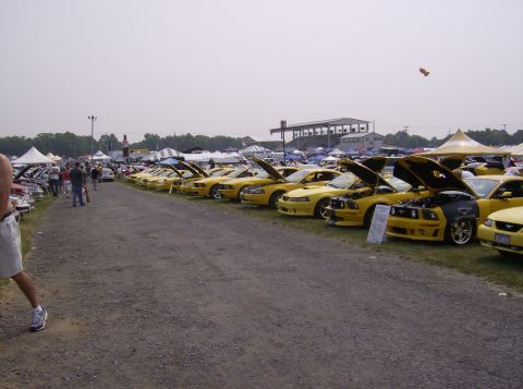 1970 Ford Ranchero - A large gathering of yellow cars, possibly at a car show, with many hoods open for display.