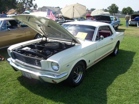 2002 Ford Mustang - A classic white Ford Mustang is displayed with its hood open at an outdoor event, its engine bay.