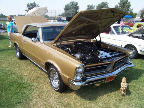 2002 Ford Mustang - A gold 1965 Pontiac GTO is displayed with its hood open, parked on grass next to other vehicles.