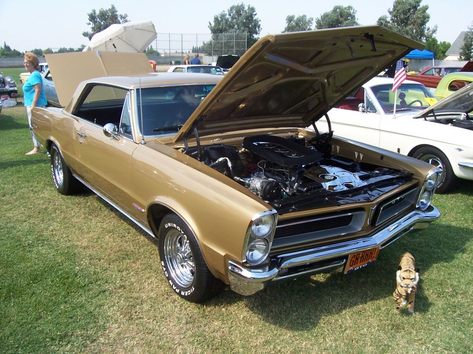 Gold 1965 Pontiac GTO with hood open, chrome wheels, and a tiger figurine on the grass