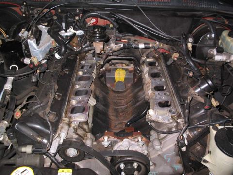 2001 Ford Crown Victoria - All cleaned up and ready for the new intake!