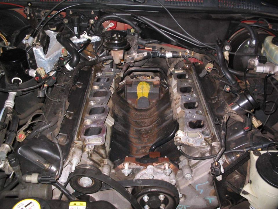 All cleaned up and ready for the new intake!
