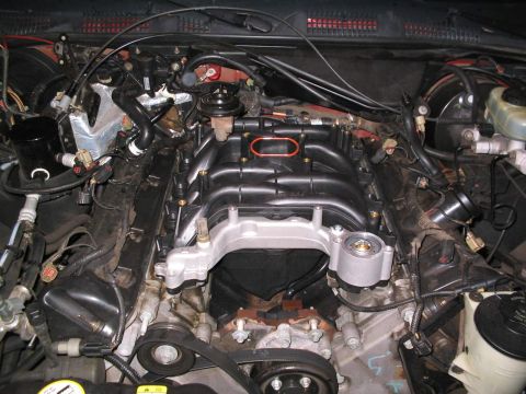 2001 Ford Crown Victoria - New intake, goin' in.
