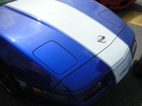 1998 Ford Crown Victoria - A blue Chevrolet Corvette with white racing stripes is parked on asphalt, with another red vehicle visible in the background.