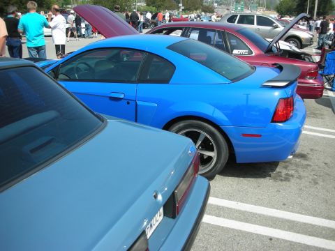 1998 Ford Crown Victoria - A bright blue coupe with a rear spoiler is parked at a car meet, with other vehicles visible.