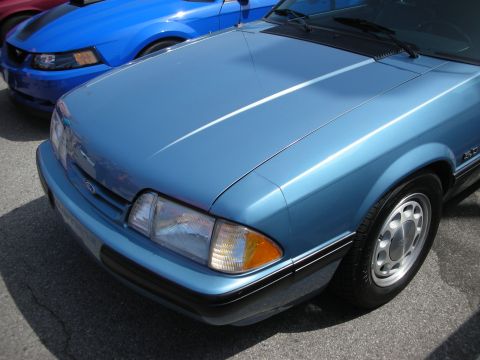 1998 Ford Crown Victoria - Two blue Ford Mustangs parked together at a car meet.