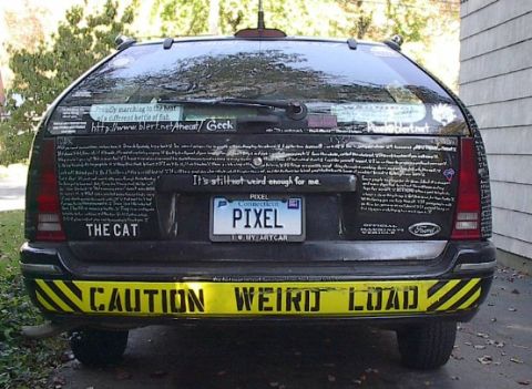 1991 Ford Taurus “The Cat”