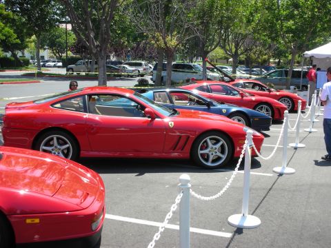 1998 Ford Crown Victoria - A line of red and blue Ferraris are parked in a lot, with a few people visible in the background.