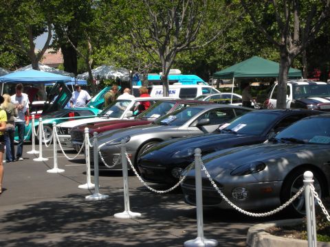 1998 Ford Crown Victoria - A collection of cars are displayed outdoors, with a teal car's doors open.