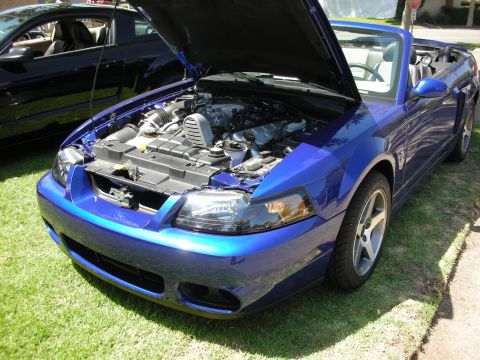 1998 Ford Crown Victoria - Blue convertible parked on grass, hood open to reveal engine bay.