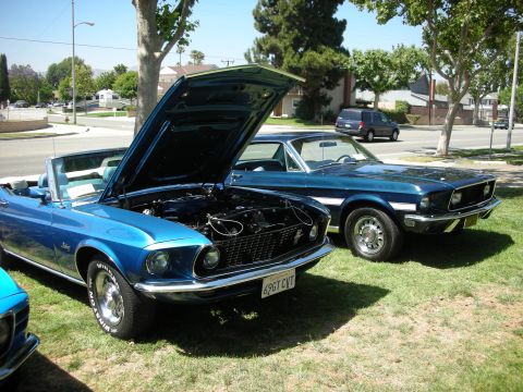 1998 Ford Crown Victoria - Two classic Ford Mustangs, a convertible and a coupe, are parked on a grassy area on a sunny day.