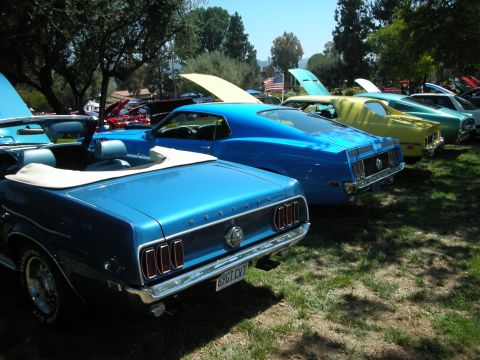 1998 Ford Crown Victoria - Two blue Ford Mustangs, a convertible and a coupe, are parked side-by-side at a car show.