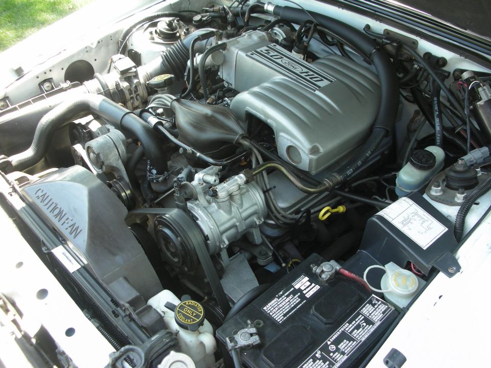 Engine bay with 5.0 HO Ford engine cover and caution fan shroud