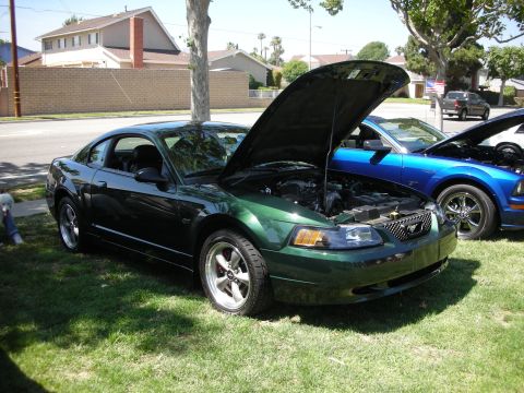 1998 Ford Crown Victoria - A green Ford Mustang GT coupe is parked on grass with its hood open, alongside other vehicles.