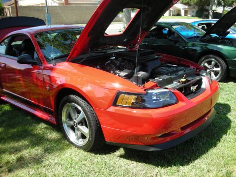 1998 Ford Crown Victoria - Two Ford Mustangs parked on grass, both with hoods open at an outdoor car show.
