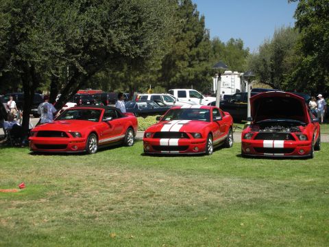1998 Ford Crown Victoria - Three red Ford Mustangs are displayed outdoors at a car show, with one having its hood open.