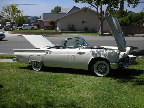 1998 Ford Crown Victoria - A white 1955 Ford Thunderbird convertible is parked on a grassy lawn with both hoods open, revealing the engine and trunk area.