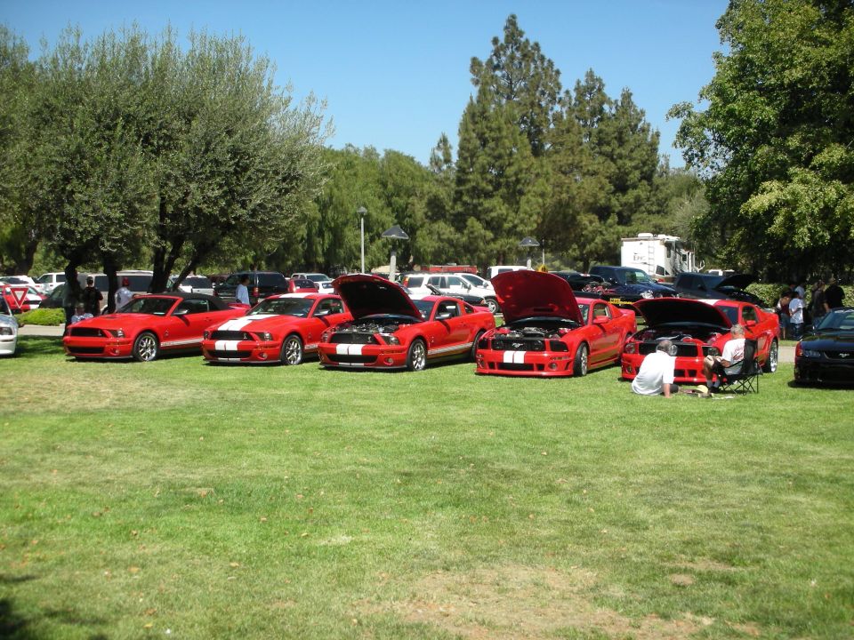 Several red Ford Mustangs parked on grass, hoods open. One person is working on an engine