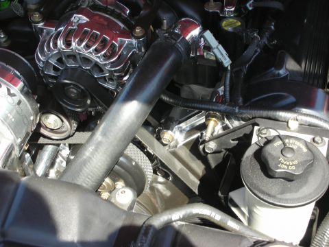 1998 Ford Crown Victoria - Close-up view of engine components, including a chrome alternator and various hoses.