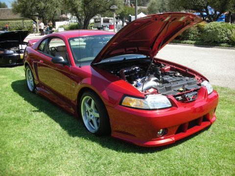 1998 Ford Crown Victoria - Red Ford Mustang at a car show, hood open. A black car is visible to the left.