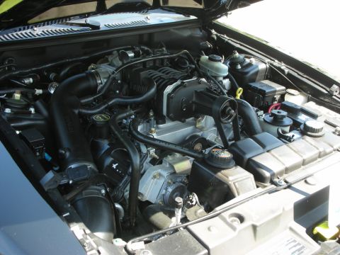 1998 Ford Crown Victoria - The engine bay of a 1999 Ford Mustang Cobra features a prominent supercharger and various engine components.