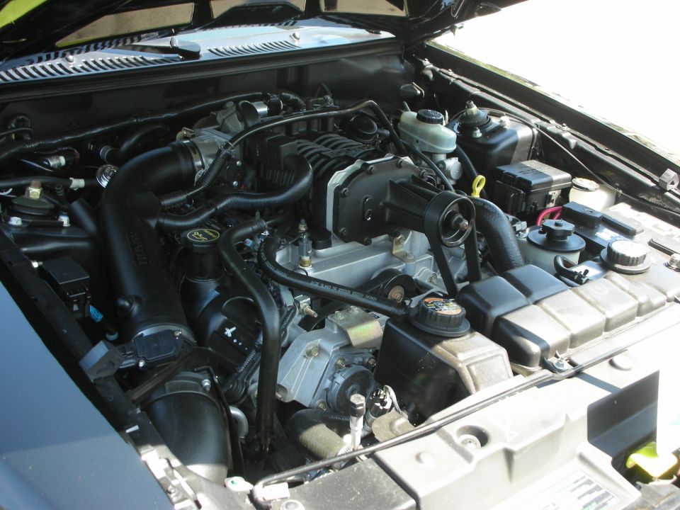 Engine bay of a 1999 Ford Mustang Cobra with a supercharger, black hoses, and silver components
