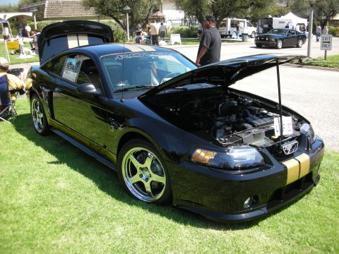 1998 Ford Crown Victoria - A black Ford Mustang with gold racing stripes is displayed with its hood and trunk open at a car show.