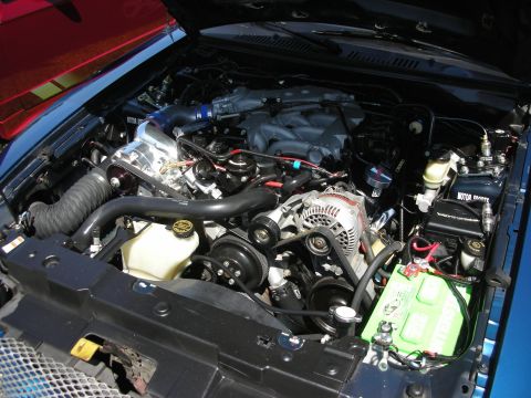 1998 Ford Crown Victoria - Engine bay details showing a supercharger and other components.