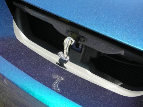 1998 Ford Crown Victoria - A chrome cobra emblem is affixed to the grille of a blue car.