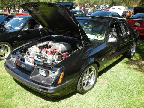 1998 Ford Crown Victoria - Modified black Ford Mustang on display at a car show, hood open to reveal the engine.