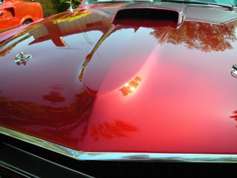 1998 Ford Crown Victoria - Close-up of a red car's hood, showing reflections of trees and buildings. Another car is parked nearby.