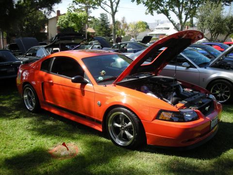 1998 Ford Crown Victoria - Orange Ford Mustang at a car show, hood open revealing the engine bay. Multiple vehicles are present.