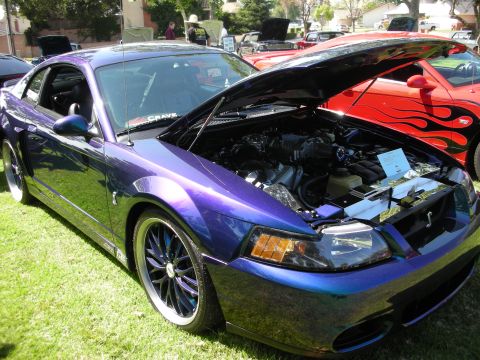 1998 Ford Crown Victoria - A custom purple Ford Mustang is displayed with its hood open, revealing the engine, at an outdoor car show.