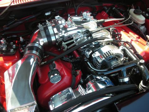 1998 Ford Crown Victoria - Close-up of a highly polished engine bay, a chrome intake manifold and alternator against a red background.
