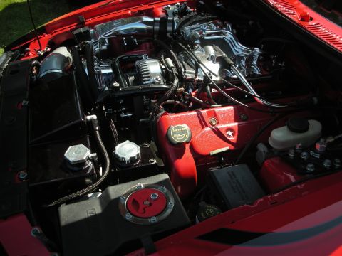 1998 Ford Crown Victoria - Close-up of a modified engine bay with custom components and polished metal parts.