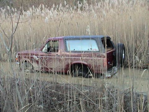 1993 Ford Bronco photo