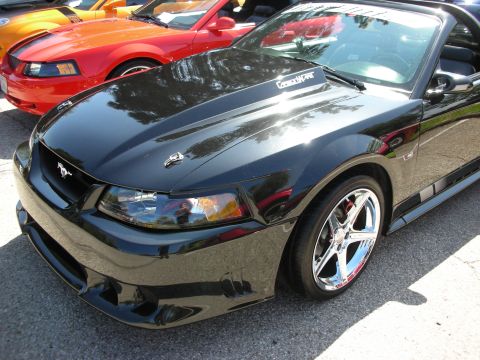 1998 Ford Crown Victoria - A black Ford Mustang convertible is parked at a car show, with other vehicles visible in the background.