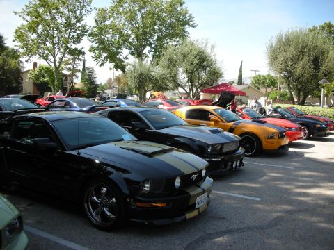 1998 Ford Crown Victoria - Multiple Ford Mustangs are parked in a lot, likely at a car show.