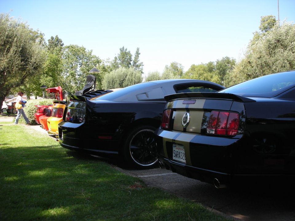 Rear view of black Ford Mustangs parked in a row, one with gold stripes