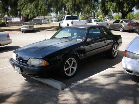 1998 Ford Crown Victoria - A black Ford Mustang coupe is parked in a lot, with other vehicles visible in the background.