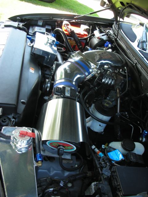 1998 Ford Crown Victoria - The engine bay shows modifications including a large chrome air intake and custom fluid reservoirs.