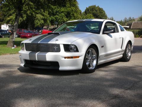 1998 Ford Crown Victoria - White 2005 Ford Mustang GT parked outdoors with trees and buildings in the background.