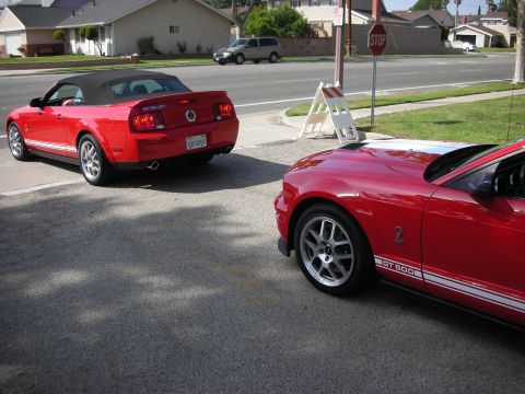 1998 Ford Crown Victoria - Two red Ford Mustangs are parked on a residential street, one a convertible and the other a GT 500.