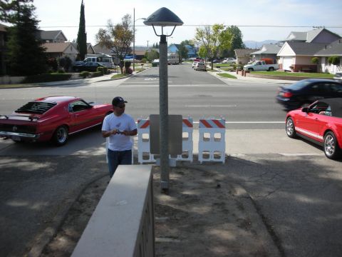 1998 Ford Crown Victoria - A red 1969 Ford Mustang is parked on the side of a suburban street.