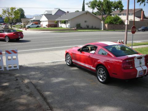 1998 Ford Crown Victoria - A red Ford Mustang Shelby GT500 with white racing stripes is parked on the side of the road, with another red convertible Mustang in the ba…